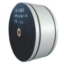 EP-100 Polyester Conveyor Belt